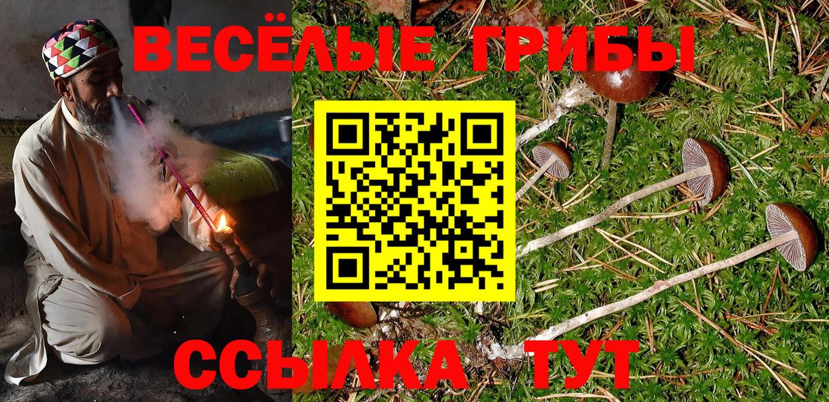 Псилоцибиновые грибы мухоморы  Вход с VPN  Вязники  Псилоцибиновые грибы Psilocybine cubensis 
